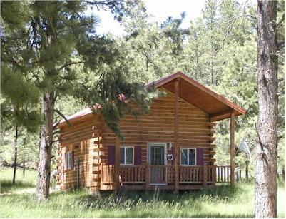Papoose Custer Quarto foto