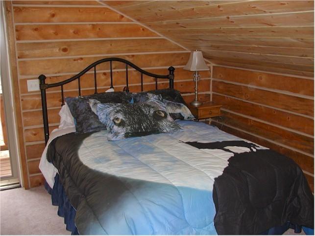 Papoose Custer Quarto foto